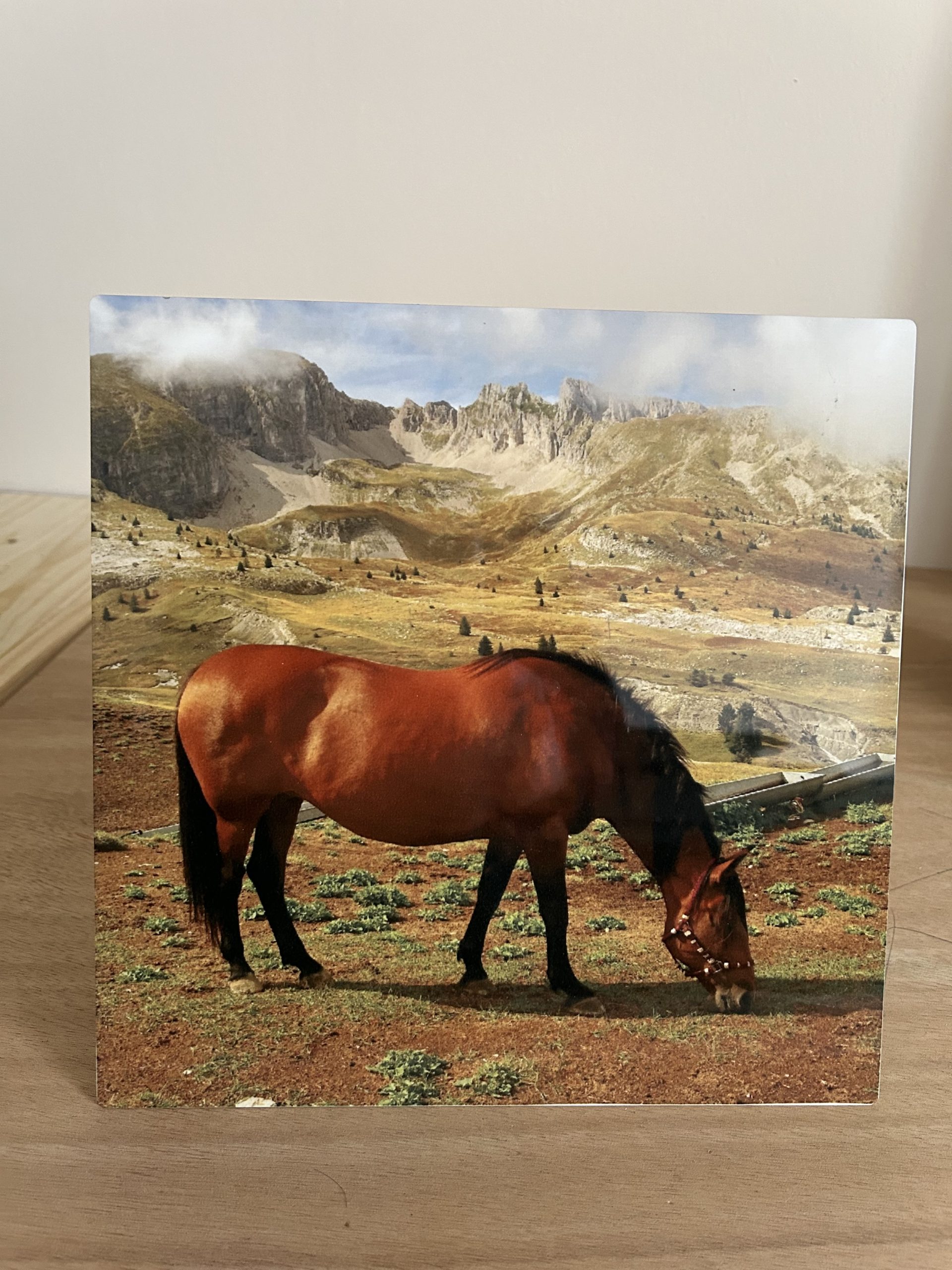 Galerie 4 photos — photo 3